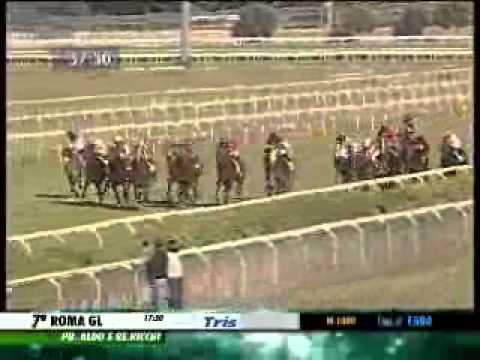 02/06/2014, Roma , Premio Aldo E Re.ricchi Tris Str.