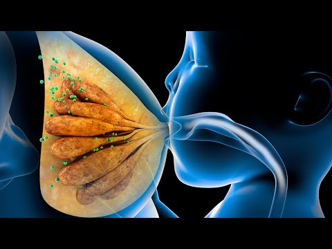 Breastfeeding | 3D Animation