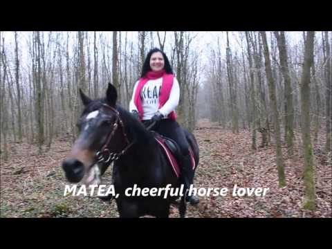 EMCUP 2016 - WavEMotion