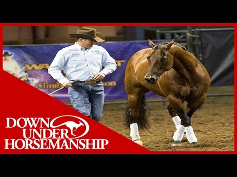 Clinton Anderson: 2017 Walkabout Tour - Downunder Horsemanship