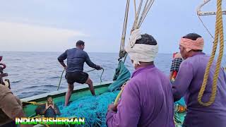 Download lagu Mackerel scad fish in INDIAN trawler fishing  mp3