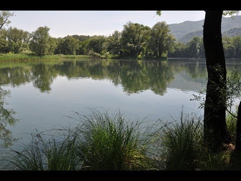 Palude di Brivio   24 05 2017