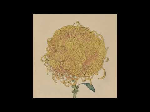 Indefinite Pitch PREMIERES DUP SYS. Tropical Rainforest [Muzan Editions]