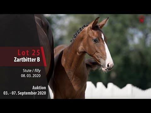 Online-Auktion v. 03. - 07.9. 2020 Lot 25 Zartbitter B Stute v.  Zoom - Rock Forever I