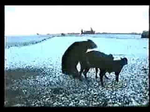 Chcieć a móc to wielka różnica