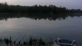 Schubkarper[.nl] Stek @ Marcusans