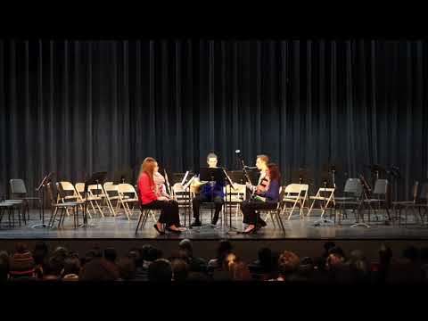 HYS Chamber Music - Woodwind Quintet
