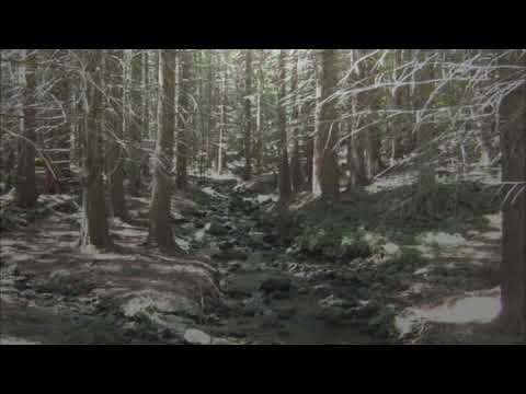 Folk Noir  - The Road