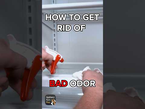How To Get Rid Of Bad Odor In Refrigerator #diycleaning #cleaning #smellsgood #refrigerator
