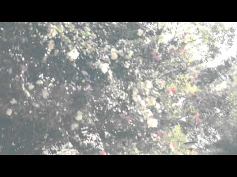 "eternal moment"  yutaka hirasaka  (official music video)