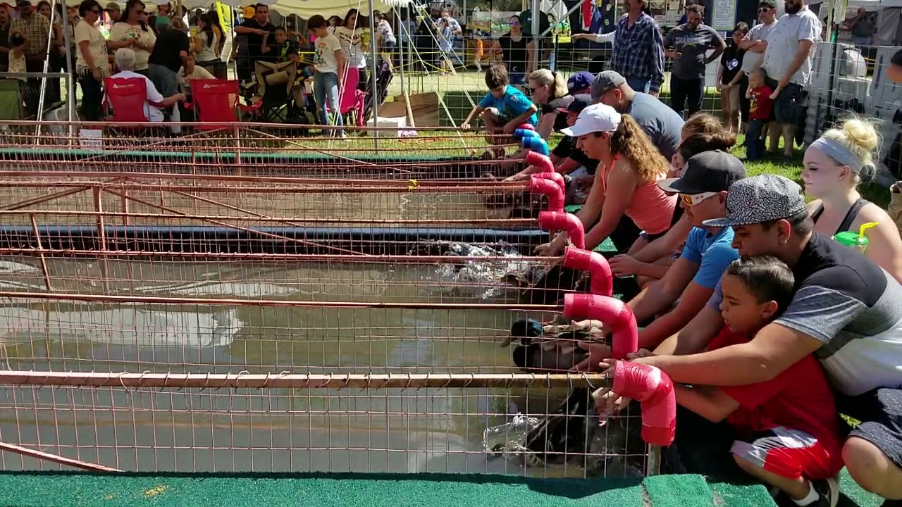2018 Deming Duck Races