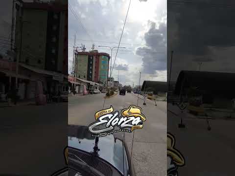 San Fernando Apuré #tradicion #joropo #apure #shortvideo #shorts