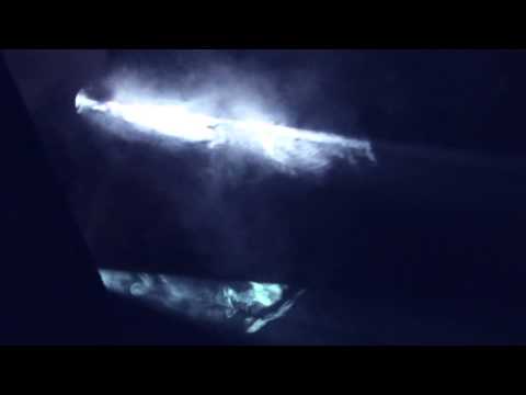 Hermanos Inglesos x Dour