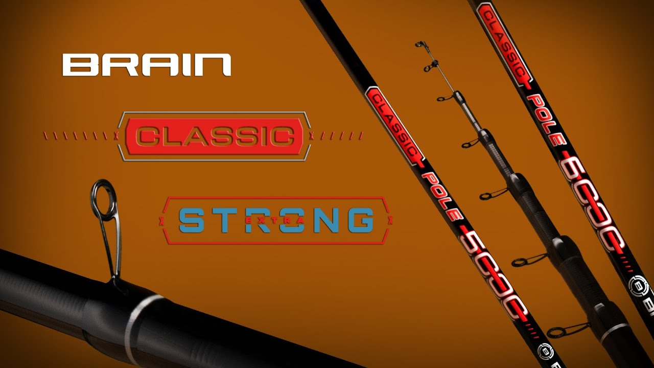 Вудилище болонське Brain Classic Strong Bolo 5m 10-30g