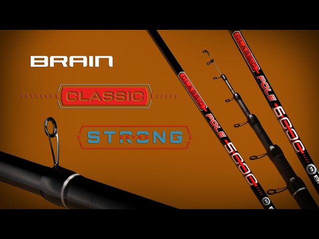Вудилище болонське Brain Classic Strong Bolo 4m 10-30g Відео