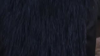 #SiennaMiller nous explique son look Gucci « Karlesque », hommage au créateur #MetGala