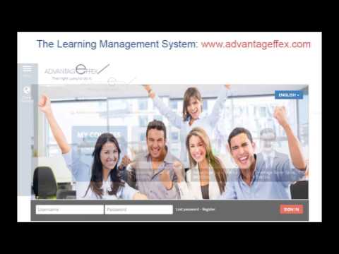 Effex Business Solution