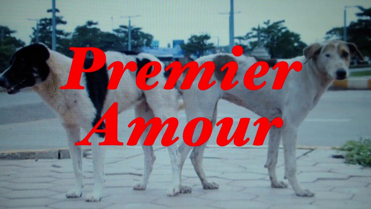 Premier Amour / Πρώτος Έρωτας - teaser