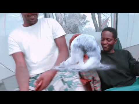 DOG HOUSE - Wolfboyjack x Clintin’B  x Zenoloud