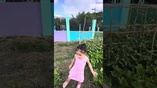 Nakakalungkot kung saan namumunga na sila ngayon pa naman kami aalis 😩