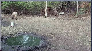 Thumbnail del capítulo