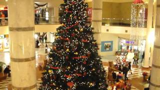 It's The Most Wonderful Time Of The Year Music Video