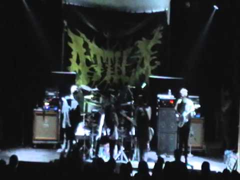 IWRESTLEDABEARONCE FULL SHOW @ MR SMALLS MILLVALE PA 10-30-2013