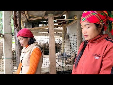 Phong's mother became suspicious of Hong when she saw that the chickens and ducks were sick.