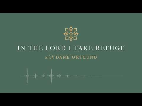 In the Lord I Take Refuge: Psalm 108 - With God We Shall Do Valiantly