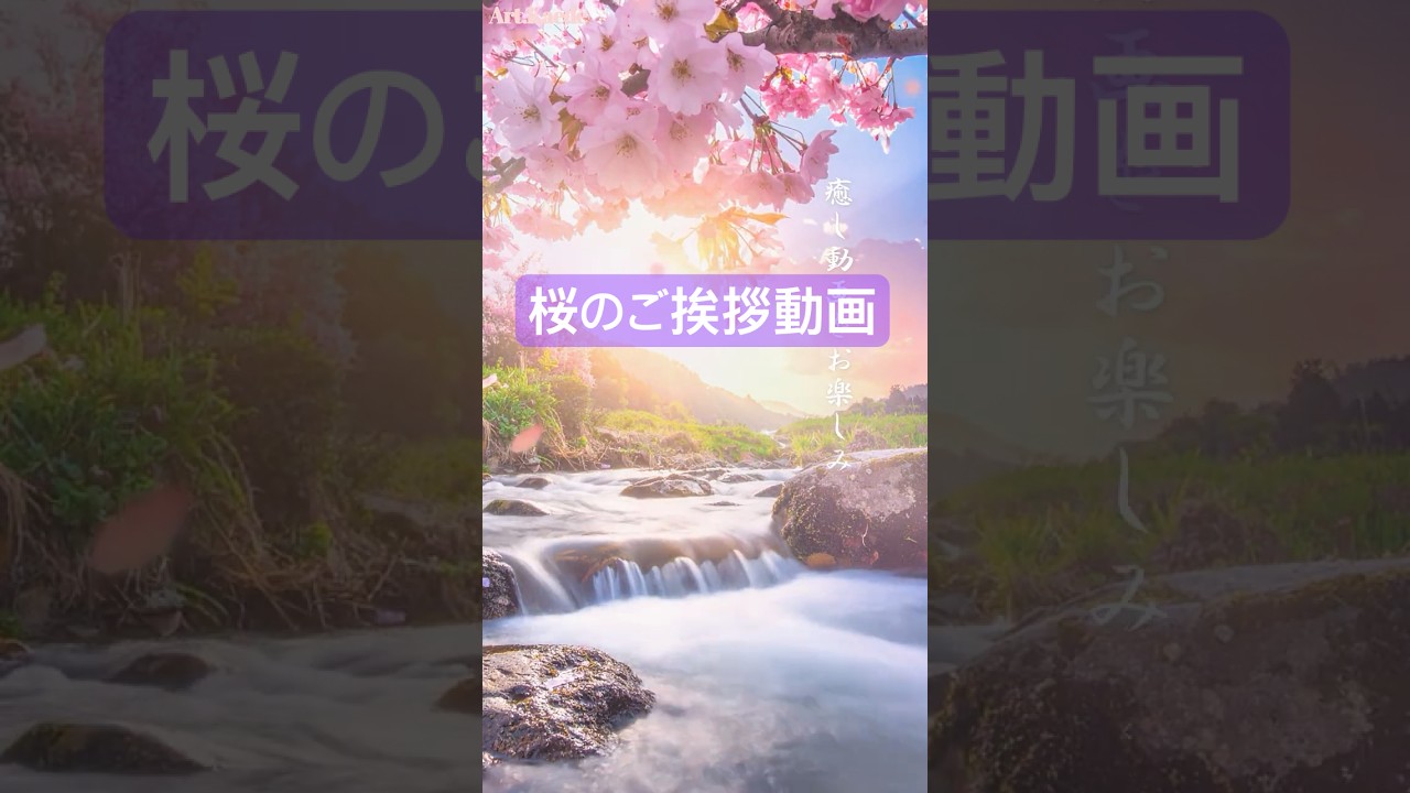 【春の挨拶 癒し動画】桜の花が咲く夜景　lineで送れる癒しのカード