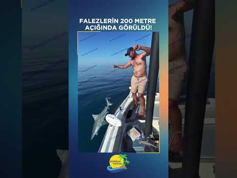 Falezlerin 200 metre açığında görüldü!
