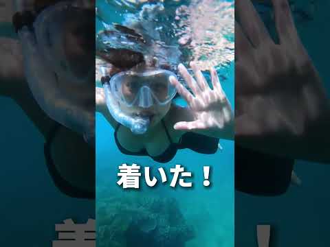 サンゴ海の島について詳しく解説