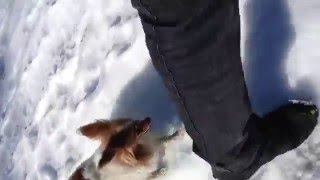 Video Seven Two de Blonde Redhead