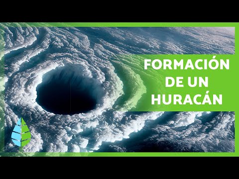 ¿Cómo se FORMAN los HURACANES? 🌀 | Definición, Formación y Categorías