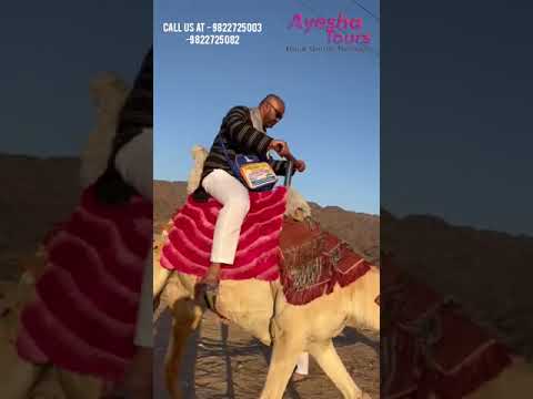 Camel Ride 🐪#Ayesha umrah tours👌#makkah🕋madina🕌 #Best Service's👆#mashallah🌹#shorts #ziyarat💐🇮🇳#umrah