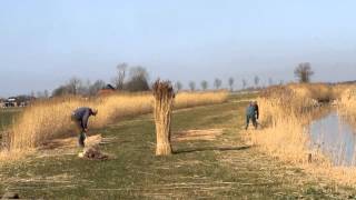 George Hendrik Breitner: Meisje in kimono