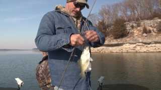 preview picture of video 'Crappie Fishing on Stockton Lake - HOW TO DEEP FRESH WATER FISH'