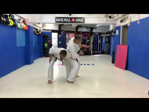 日本拳法　関節技（脇固めと腕捕り）の解説