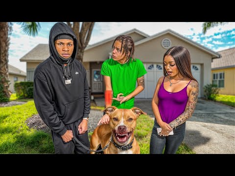 Mya’s New Dog Bit Corey