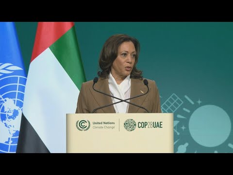 US pledges $3 billion to green climate fund at COP28 | AFP