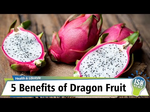 , title : '5 Benefits of Dragon Fruit'