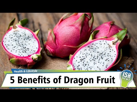 YouTube video about Discover the Wonder of Dragon Fruit and Its Benefits!
