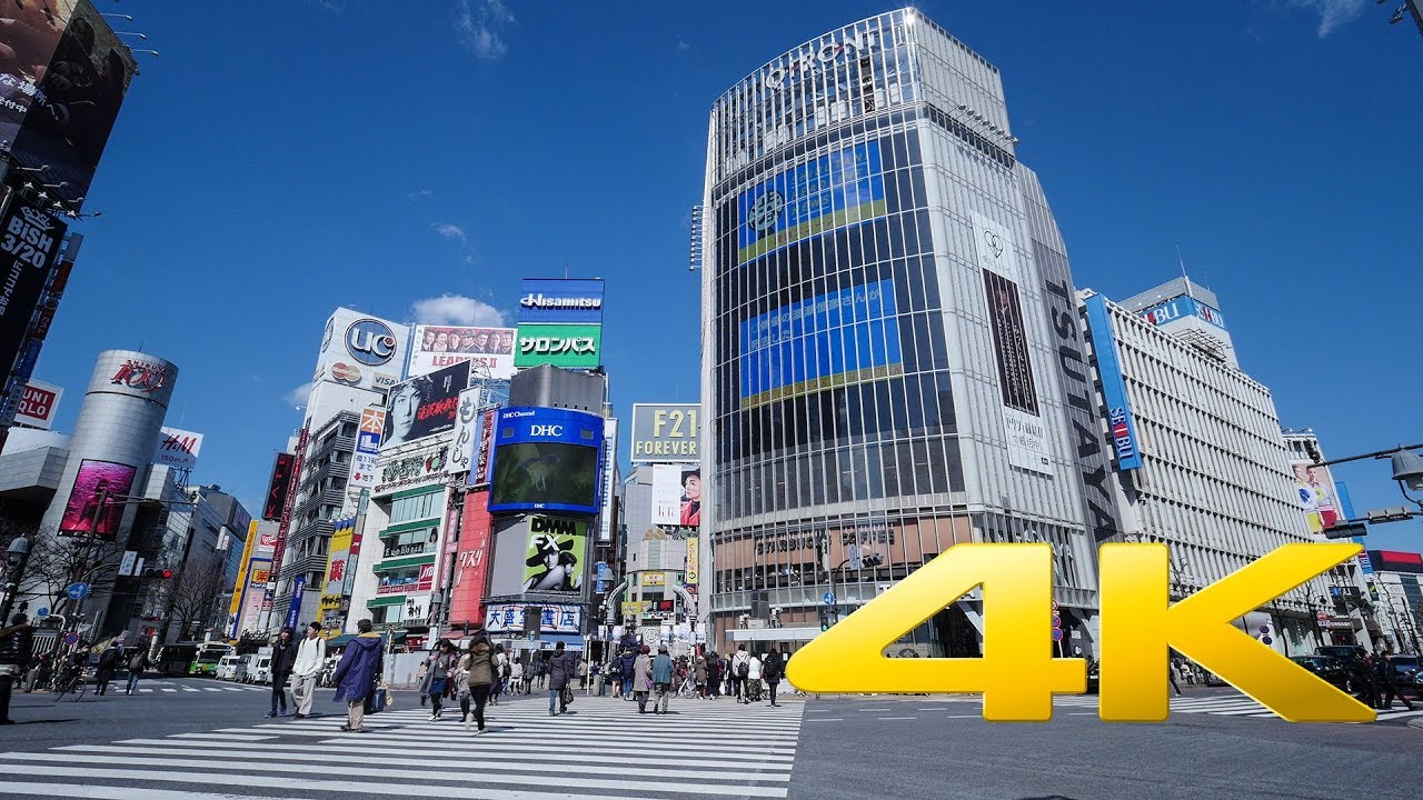 Shibuya Crossing long take