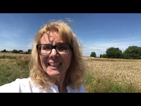 Bewerber-Ghosting 👻