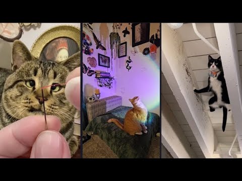 Fails of The Week  😂  EP:26  |  Funny Fails  | Fail Army.