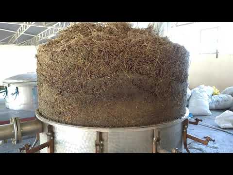 Oregano Essential Oil - Carvacrol Extrtaction Distillation Process Bulk Suppliers Wholesale Turkey