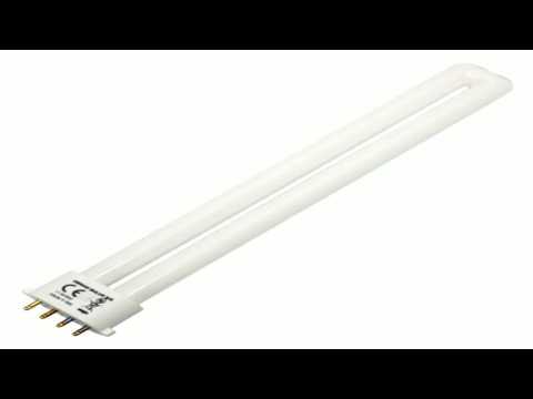 Single tube 4 pin base compact fluorescent light bulb