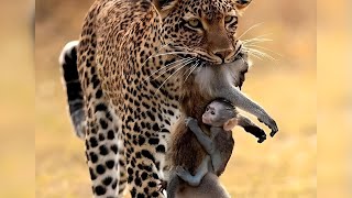 Uma Das Imagens Mais Impactantes do Ano 😔