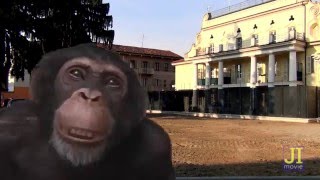 Pianezza Come ti vorrei