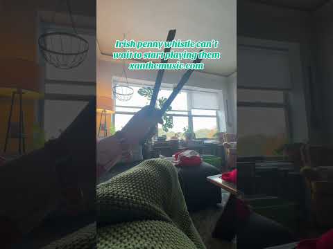 #irishpennywhistle #pennywhistle #newinstrument #musician #IndieArtist #music #chicago
